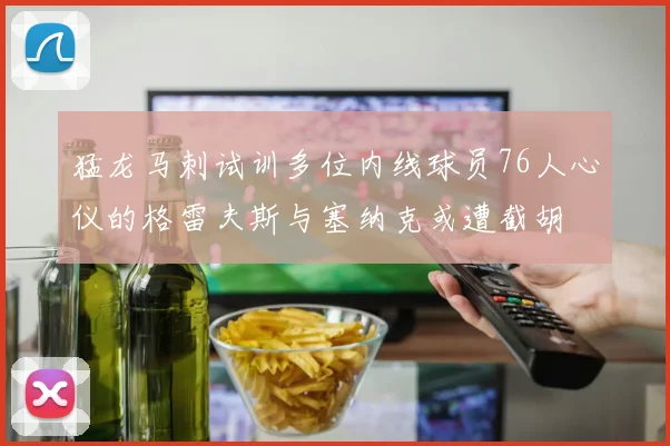 猛龙马刺试训多位内线球员76人心仪的格雷夫斯与塞纳克或遭截胡